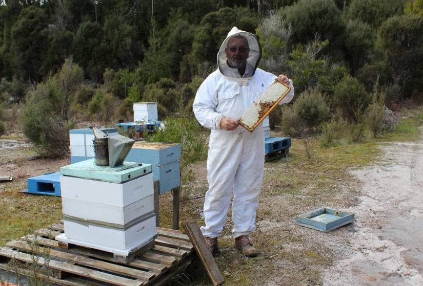 You want to be a Commercial Beekeeper